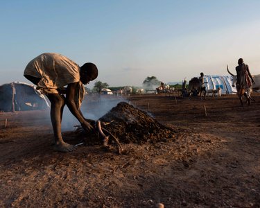 Mundari Cattle Camp