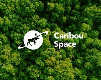 Caribou Space